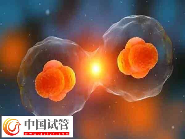 临汾市人民医院做试管婴儿怎么样?技术和成功率一览(图1) 临汾市人民医院做试管婴儿怎么样?技术和成功率一览(图1)