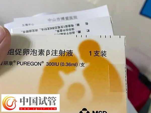 试管婴儿查体到移植至少2个月,期间做好这些更容易成功(图1) 试管婴儿查体到移植至少2个月,期间做好这些更容易成功(图1)