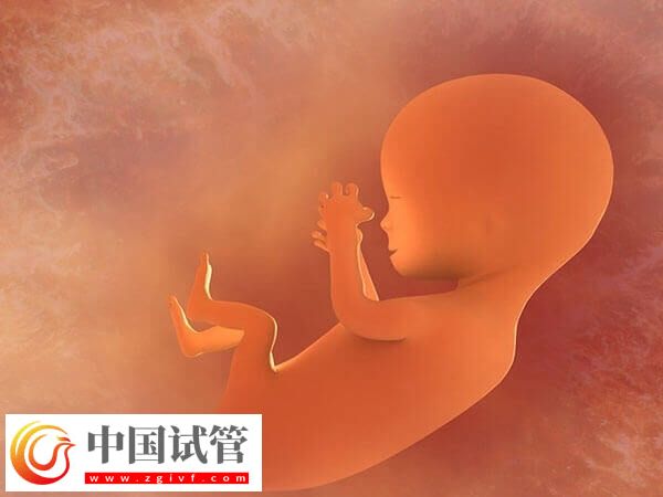 乌海妇幼保健院做试管婴儿哪个医生好?附三大专家简介(图1) 乌海妇幼保健院做试管婴儿哪个医生好?附三大专家简介(图1)