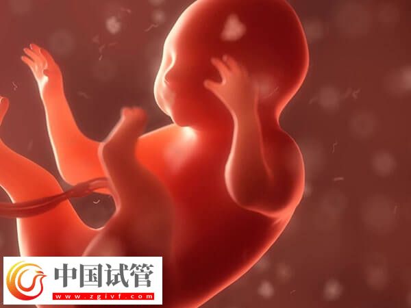 囊胚着床失败or生化判断方法汇总,看时间是技巧之一(图1) 囊胚着床失败or生化判断方法汇总,看时间是技巧之一(图1)