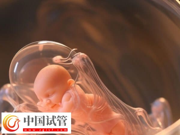 囊胚着床失败or生化判断方法汇总,看时间是技巧之一(图2) 囊胚着床失败or生化判断方法汇总,看时间是技巧之一(图2)