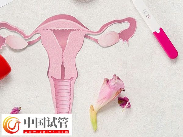 囊胚着床失败or生化判断方法汇总,看时间是技巧之一(图3) 囊胚着床失败or生化判断方法汇总,看时间是技巧之一(图3)