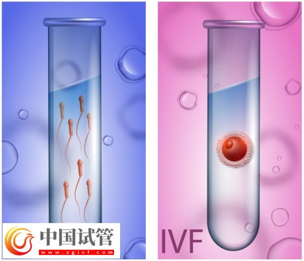 天津试管婴儿费用详解:全面了解价格及影响因素(图1) 天津试管婴儿费用详解:全面了解价格及影响因素(图1)