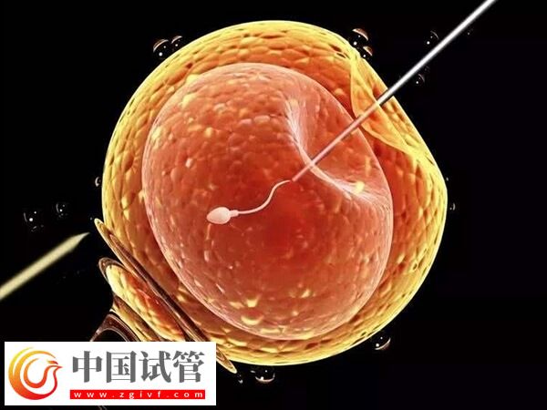 太原市中心医院做第二代试管婴儿流程:一促二移历时4月(图1) 太原市中心医院做第二代试管婴儿流程:一促二移历时4月(图1)