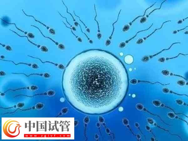 山西煤炭医院夫精人工授精收费标准:单周期预算6K起(图1) 山西煤炭医院夫精人工授精收费标准:单周期预算6K起(图1)