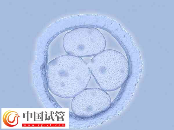 长治和平医院试管婴儿医生多,附十位知名专家介绍(图1) 长治和平医院试管婴儿医生多,附十位知名专家介绍(图1)