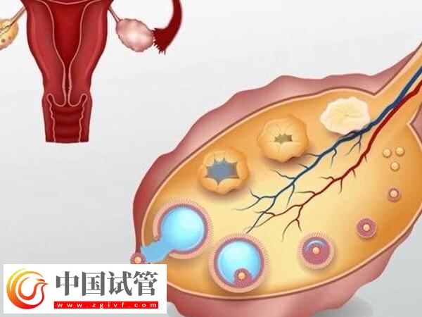 巩义人工助孕机构排行榜揭晓,市妇幼保健院口碑第一(图2) 巩义人工助孕机构排行榜揭晓,市妇幼保健院口碑第一(图2)