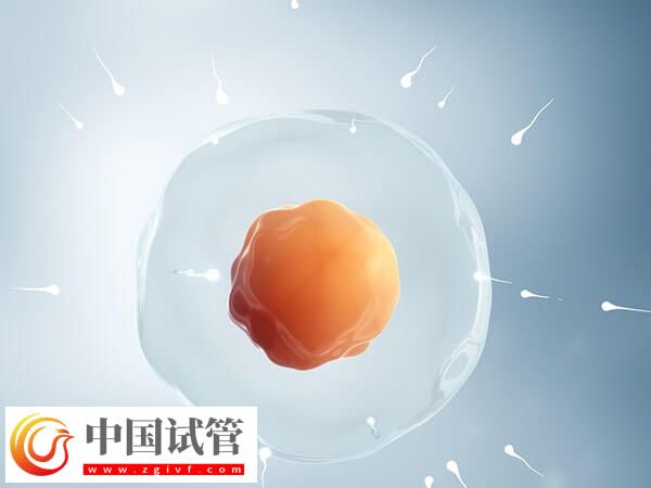 南京正规人授医院排名公开,省妇幼综合实力第一(图1) 南京正规人授医院排名公开,省妇幼综合实力第一(图1)