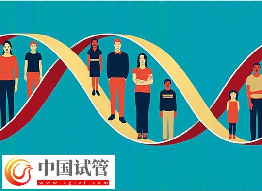 DNA亲子鉴定哪里做 昌都试管婴儿亲子鉴定所在哪个位置(图1)