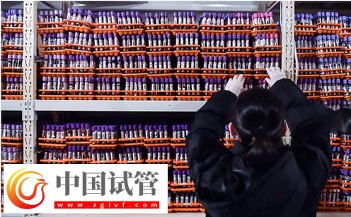 DNA亲子鉴定结果 昌都试管婴儿亲子鉴定怎么比对(图1)