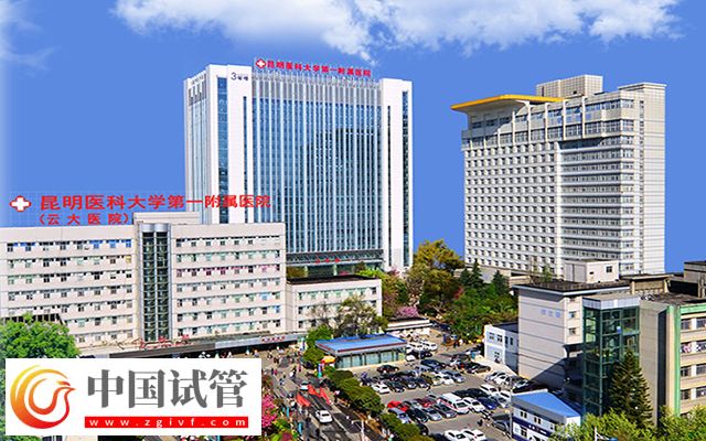 云大医院试管婴儿费用明细表来了,单周期收费4万元起(图1) 云大医院试管婴儿费用明细表来了,单周期收费4万元起(图1)