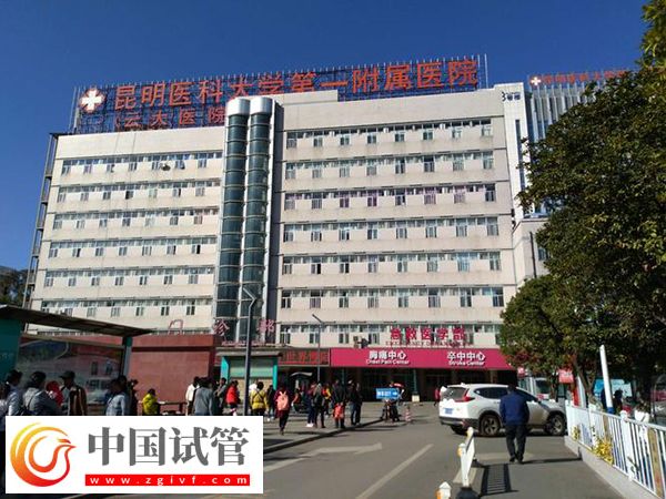 云大医院生殖科做试管婴儿怎么样,成功率不低值得信赖(图1) 云大医院生殖科做试管婴儿怎么样,成功率不低值得信赖(图1)
