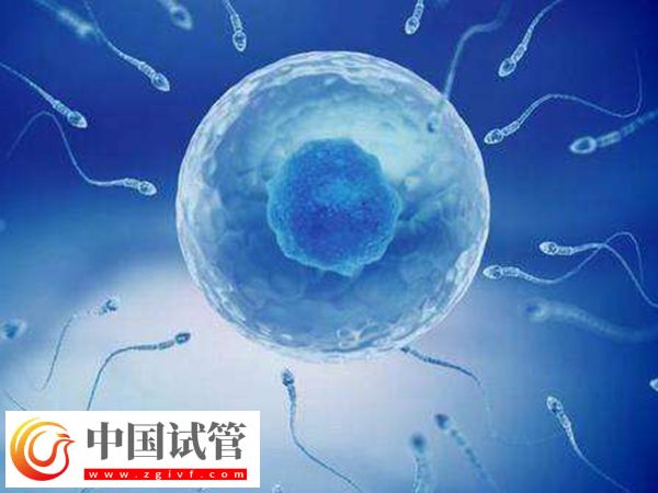 昆明供精人工受孕哪个公立医院好,这份助孕名单可参考(图1) 昆明供精人工受孕哪个公立医院好,这份助孕名单可参考(图1)