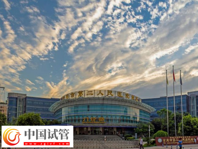 宜宾二医院试管婴儿花费单分享,验孕保胎需要百元起步(图1) 宜宾二医院试管婴儿花费单分享,验孕保胎需要百元起步(图1)