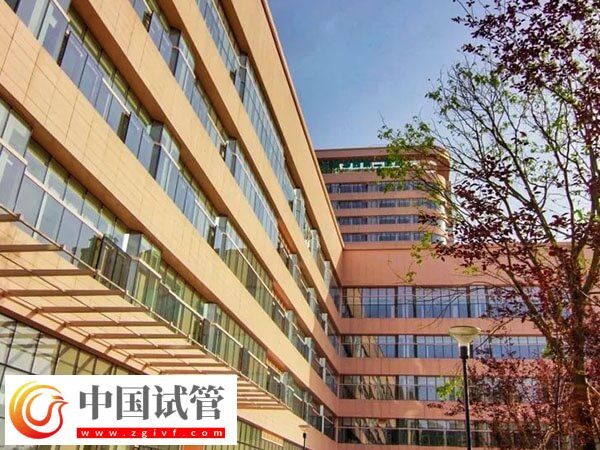 青岛妇女儿童医院助孕科普,内附开展项目及成功率(图2) 青岛妇女儿童医院助孕科普,内附开展项目及成功率(图2)