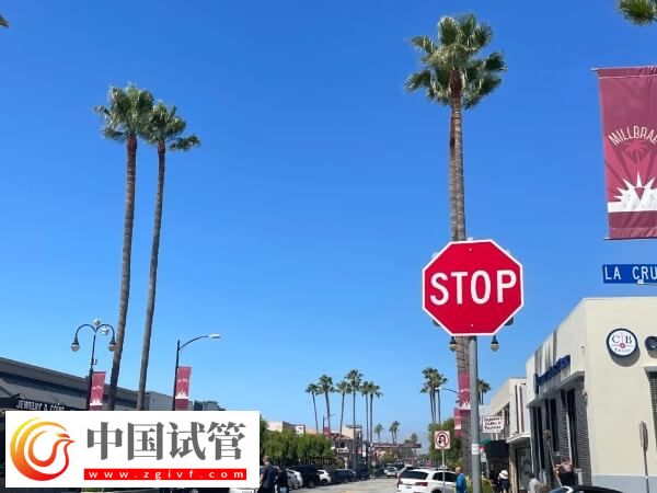 全世界范围内试管婴儿哪个国家技术更先进一些?(图1) 全世界范围内试管婴儿哪个国家技术更先进一些?(图1)