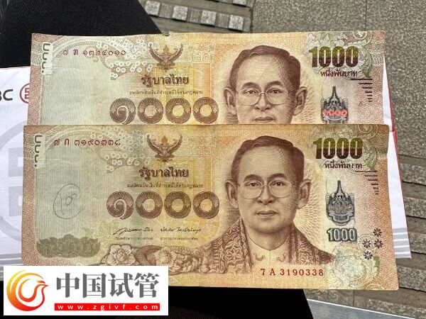 单身赴泰国做试管婴儿会涉及哪些收费项目?(图1) 单身赴泰国做试管婴儿会涉及哪些收费项目?(图1)