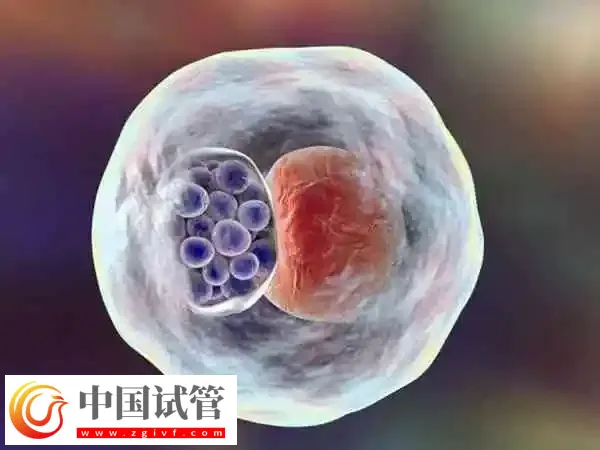 移植后孕囊发育不好的原因有哪些(图1) 移植后孕囊发育不好的原因有哪些(图1)