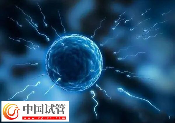 人工授精的危害有哪些(图1) 人工授精的危害有哪些(图1)