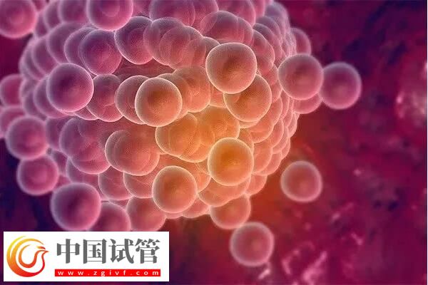 排卵障碍用什么方法能治好(图1) 排卵障碍用什么方法能治好(图1)