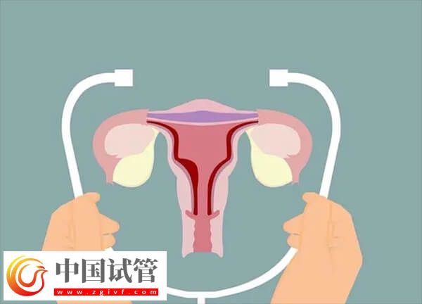 子宫内膜薄做试管婴儿能不能成功(图1) 子宫内膜薄做试管婴儿能不能成功(图1)