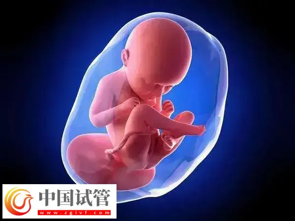 试管婴儿移植后预产期怎么算(图1) 试管婴儿移植后预产期怎么算(图1)