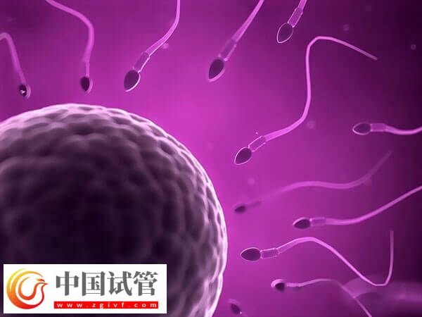 排卵期同房了没怀孕的原因有哪些(图1) 排卵期同房了没怀孕的原因有哪些(图1)