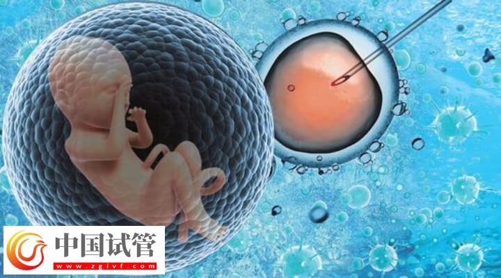 子宫萎缩可不可以做试管婴儿(图1) 子宫萎缩可不可以做试管婴儿(图1)