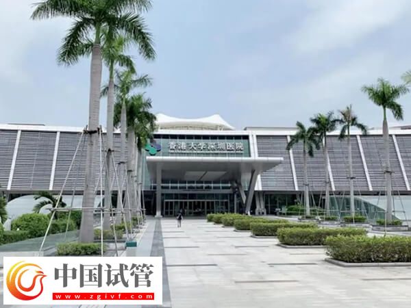 香港大学深圳医院试管婴儿怎么样(图1) 香港大学深圳医院试管婴儿怎么样(图1)