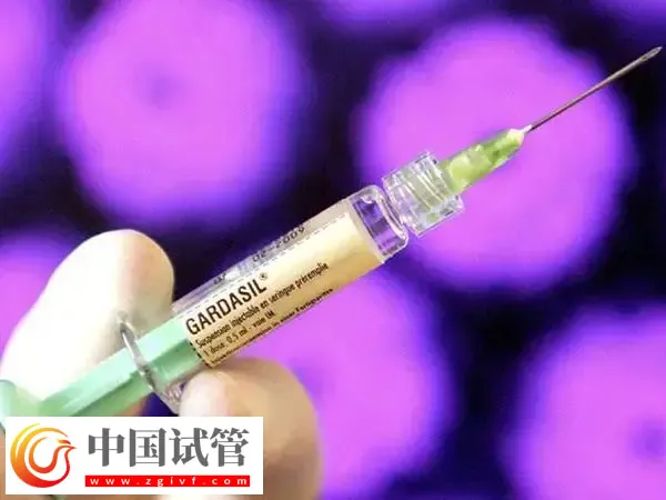 试管婴儿促排失败了怎么办(图1) 试管婴儿促排失败了怎么办(图1)