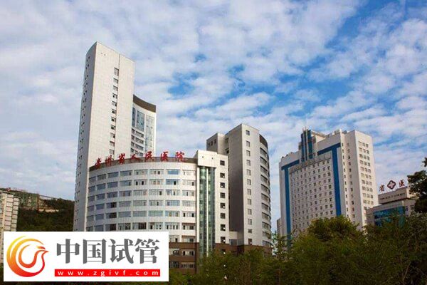 贵州二代试管婴儿医院名单大全,这几家助孕率贼高!(图2) 贵州二代试管婴儿医院名单大全,这几家助孕率贼高!(图2)