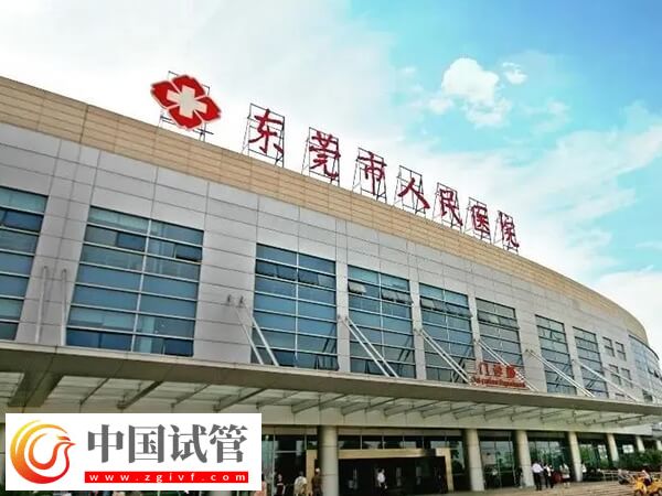 东莞二代试管婴儿高移植率医院汇总,附最新助孕率(图1) 东莞二代试管婴儿高移植率医院汇总,附最新助孕率(图1)