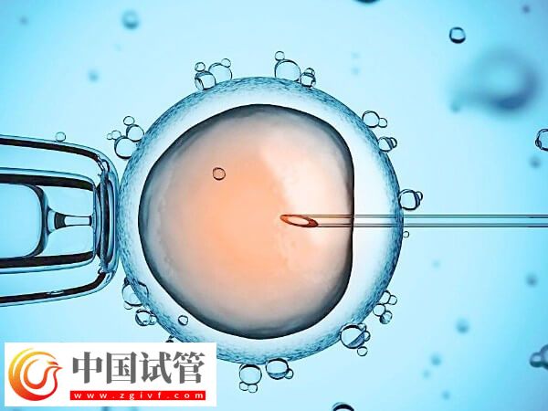 三代试管和一代试管成功率哪个高(图1) 三代试管和一代试管成功率哪个高(图1)