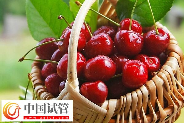 试管婴儿胚胎移植前4条宝藏建议,这样做让胚胎狂长!(图2) 试管婴儿胚胎移植前4条宝藏建议,这样做让胚胎狂长!(图2)