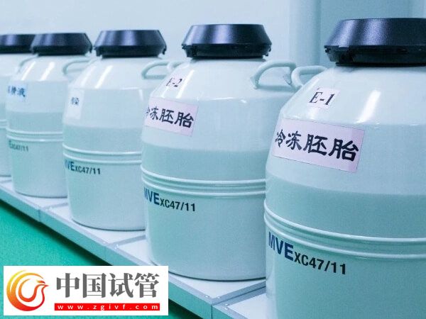 试管婴儿胚胎移植前4条宝藏建议,这样做让胚胎狂长!(图1) 试管婴儿胚胎移植前4条宝藏建议,这样做让胚胎狂长!(图1)