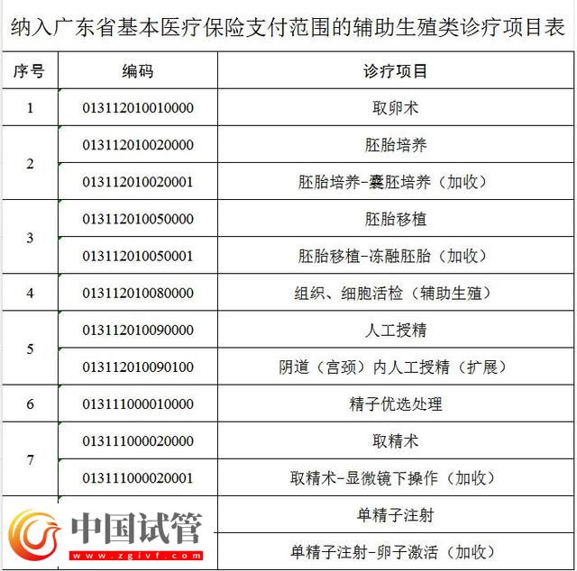 “试管婴儿项目”可刷医保!广东最新政策,10月1日起实施(图2) “试管婴儿项目”可刷医保!广东最新政策,10月1日起实施(图2)
