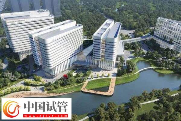 杭州试管婴儿花销解读,附邵逸夫医院助孕流程(图1) 杭州试管婴儿花销解读,附邵逸夫医院助孕流程(图1)