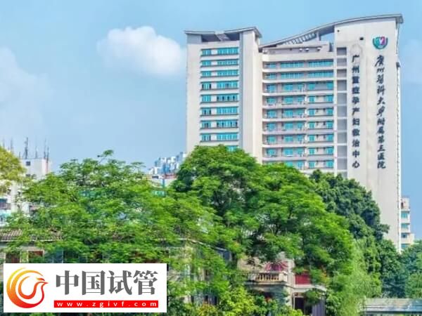 广州三代试管婴儿机构集合,这4家可供选择!(图1) 广州三代试管婴儿机构集合,这4家可供选择!(图1)