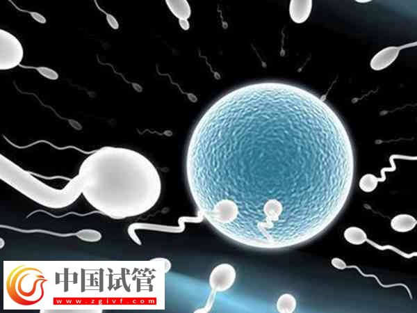 宫腔内人工授精的危害有哪些(图1)