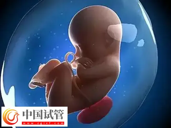 hpv阳性能否做试管婴儿(图1) hpv阳性能否做试管婴儿(图1)