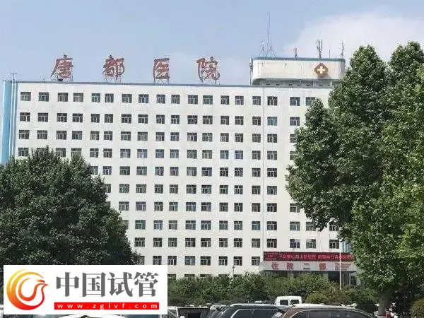 唐都医院试管婴儿怎么样(图1) 唐都医院试管婴儿怎么样(图1)