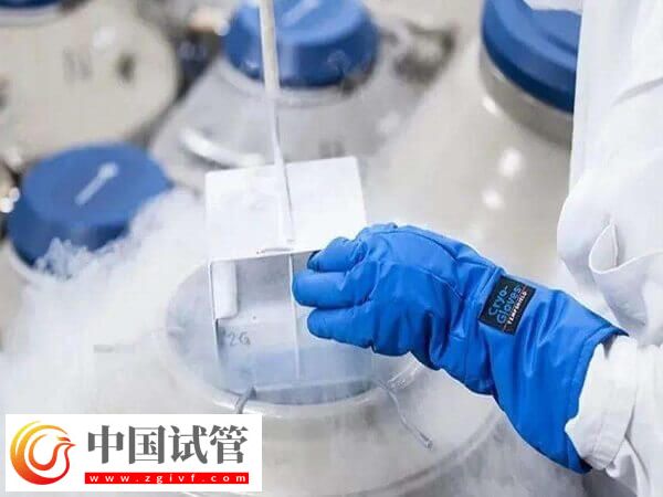 昆明冻卵流程是怎样的(图1) 昆明冻卵流程是怎样的(图1)