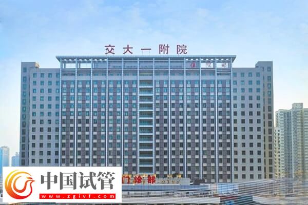 西安交大一附院二代试管婴儿流程说明,身体检查是第一步(图1) 西安交大一附院二代试管婴儿流程说明,身体检查是第一步(图1)