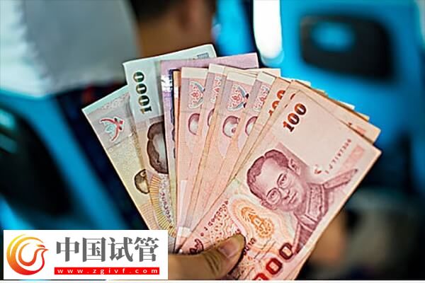 泰国三代试管婴儿助孕费说明,看完就知网传需28万是真是假!(图2) 泰国三代试管婴儿助孕费说明,看完就知网传需28万是真是假!(图2)