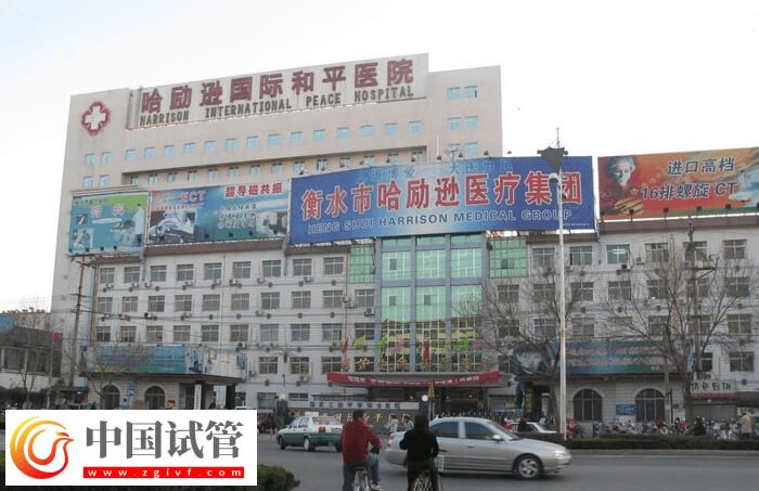 衡水试管婴儿医院有哪些(图1) 衡水试管婴儿医院有哪些(图1)