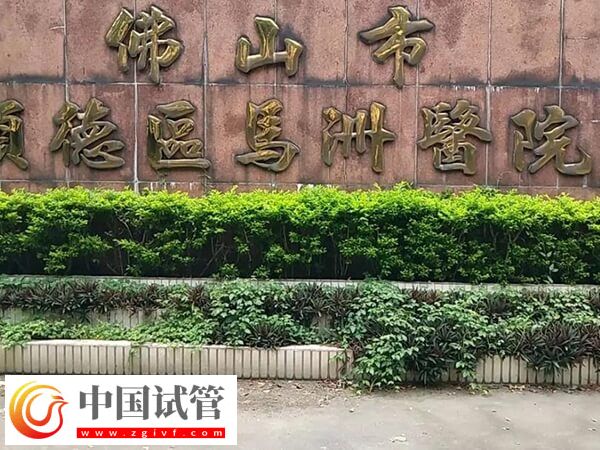 佛山试管婴儿价格整理,做到这3点少花冤枉钱!(图2) 佛山试管婴儿价格整理,做到这3点少花冤枉钱!(图2)