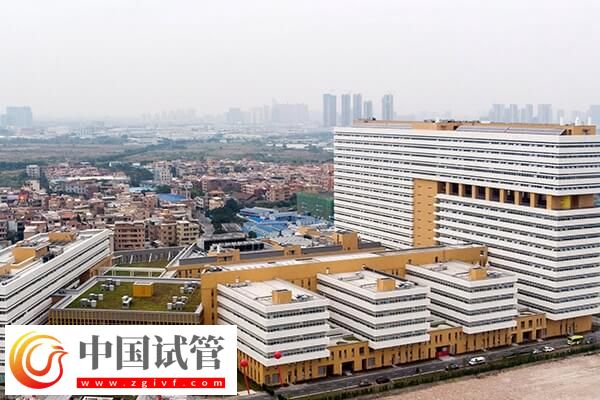 佛山试管婴儿价格整理,做到这3点少花冤枉钱!(图1) 佛山试管婴儿价格整理,做到这3点少花冤枉钱!(图1)