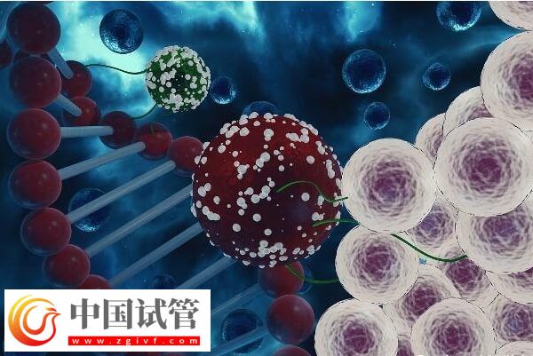 晋中人工授精如何收费(图1) 晋中人工授精如何收费(图1)