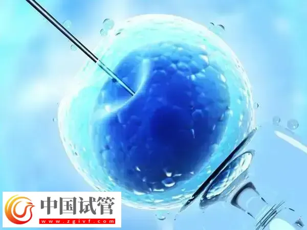 吕梁做人工授精有什么条件(图1) 吕梁做人工授精有什么条件(图1)