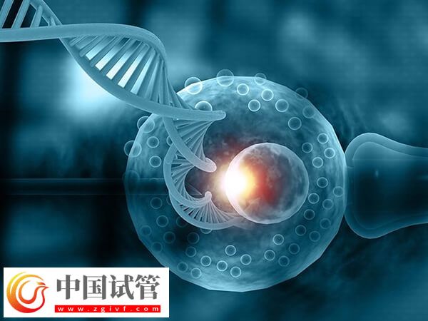 赤峰试管婴儿医生哪个好(图1) 赤峰试管婴儿医生哪个好(图1)